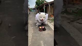 Download lagu Kedok cantik bety di ambil can macanan mp3 Download lagu Kedok cantik bety di ambil can macanan mp3