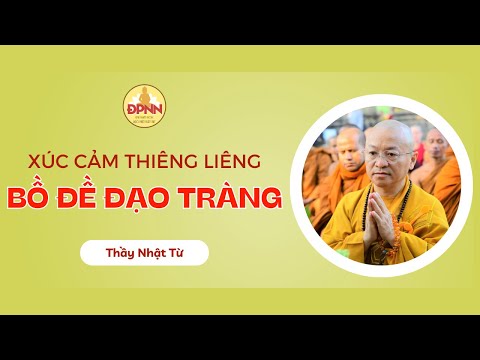 Xúc cảm thiêng liêng trên đất Phật - Thầy Nhật Từ