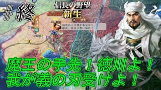 【信長の野望新生】徳川一族消え日ノ本は新たな歴史を刻み天下泰平に向かい　後に魔王義の刃に倒れる？ｗ#終【上級】