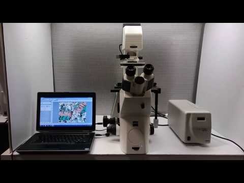 Zeiss Axio Observer Flexible Microscope