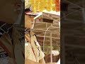 Indian IPS Attitude Status With All Officers Ips Ias Iasofficer Ipsofficer Youngestips