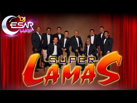 Super Lamas Mix 2025 🔥 Éxitos Inolvidables | Lobo Solitario, El Embrujo, Bote de Cerveza