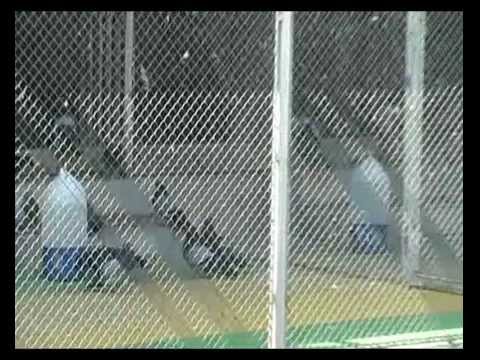 Nikola Dzomba, Povratak Sampiona