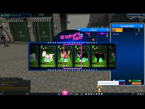 Pet [Mstar-TH] upgrade 1 star to 2 star