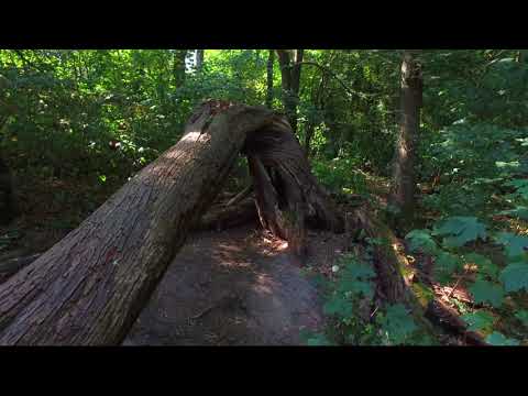 411 Mysterious Missing Persons: What Happened Until They Reappeared?