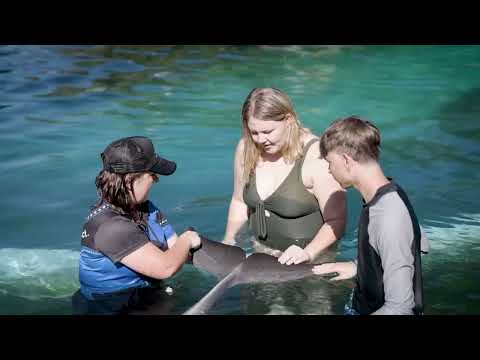 Coffs Coast Wildlife Sanctuary