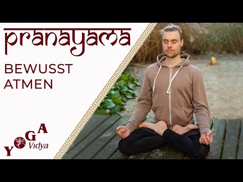 Pranayama für mehr Energie mit Patrick - Yoga Vidya Live 6:00 Uhr - 21.09.2022