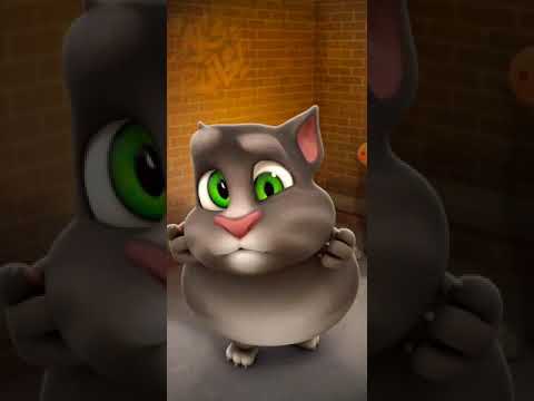 Talking Tom Cat New Video Best Funny Android GamePlay #4931