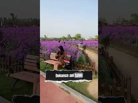 Tento muž má neuvěřitelný talent!