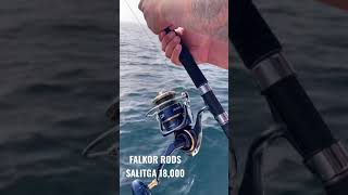 Download lagu Daiwa Saltiga 18,000 Crying 🤯 mp3