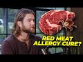 Alpha Gal Syndrome A Deep Dive Into The Red Meat Allergy Epidemic