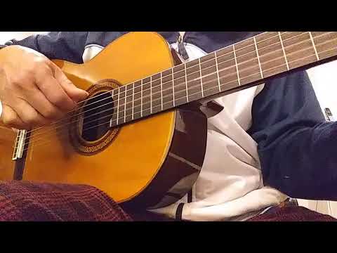 Etude in Am (F. Carulli) -- Classical