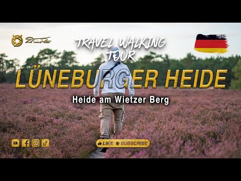 [4K DE] Lüneburger Heide - Travel Walking Tour - 2023-09-01