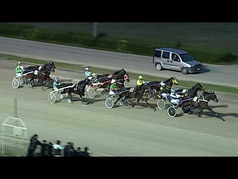 Aversa trotto 18 Gennaio 2020 - 5° corsa