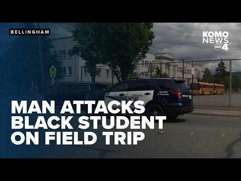 Man charged with hate crime after assaulting Black student on field trip