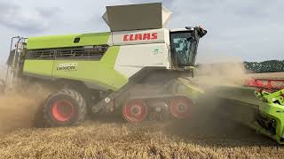 Johannes Kerkhovenpolder | Graan dorsen | CLAAS Lexion 8800 | CLAAS Convio 1230