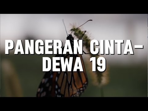 Pangeran Cinta - Dewa 19 (Lirik)