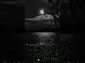 Malaiyoram Veesum Kaathu Song Paadu Nilaave Whatsapp Status Shorts Shortsfeed Shortsviral