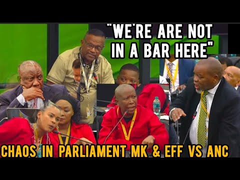 Watch Chaos Erupted in Parliament EFF Malema, Mathys & MKP Skosana Clash with ANC