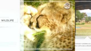 Ukutula Lodge & Conservation Center 