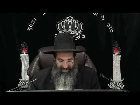 הלכות צדקה - סב' - תמכי דאורייתא 💰 יורה דעה | חלק 441 | הרב שי עובד
