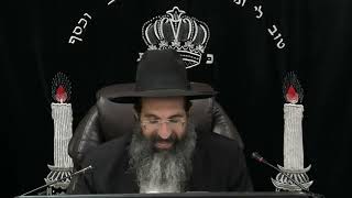 הלכות צדקה - סב' - תמכי דאורייתא 💰 יורה דעה | חלק 441 | הרב שי עובד (הרב שי עובד) - התמונה מוצגת ישירות מתוך אתר האינטרנט יוטיוב. זכויות היוצרים בתמונה שייכות ליוצרה. קישור קרדיט למקור התוכן נמצא בתוך דף הסרטון