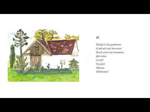 V divém staccatu, sbírka básní s akvarely