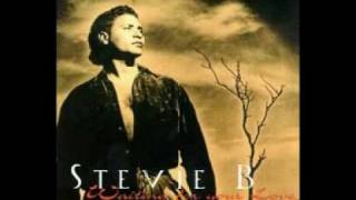 Stevie B : Waiting For Your Love