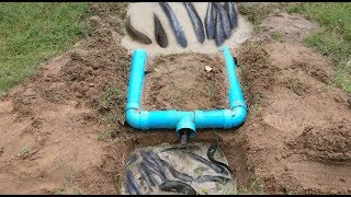 Amazing Boys Make PVC Pipe Deep Hole Fishing Trap To Catch A Lot Of Fish