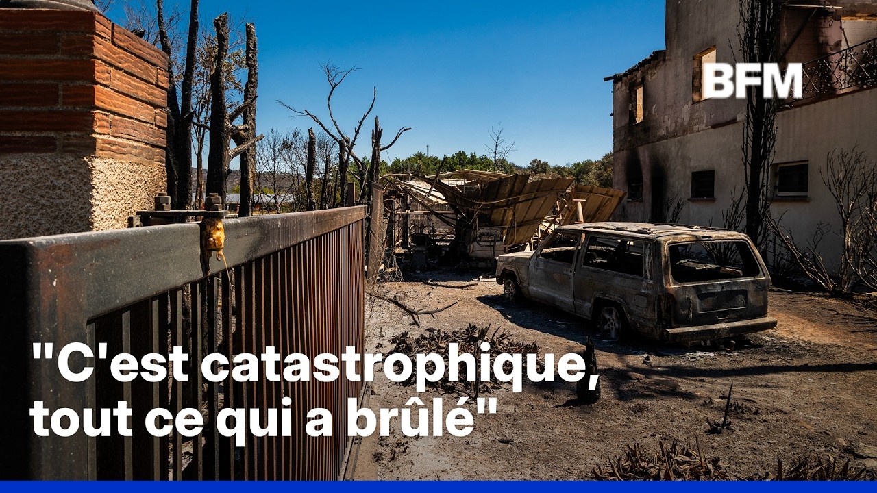 ROBIN DE BFM - Après l'incendie qui a touché les Pyrénées-Orientales, ils constatent les dégâts