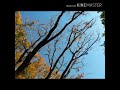 Surrender 2 Luv/Ottmar Liebert/'90/Germany