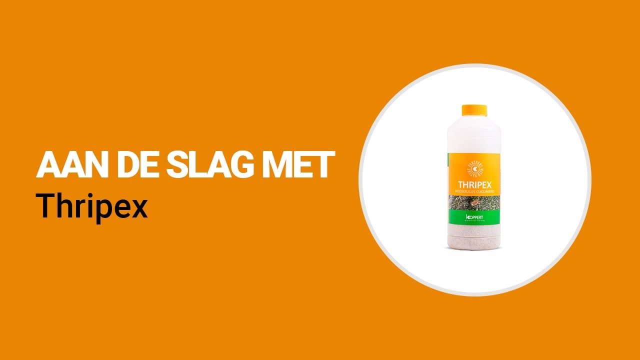 Video preview poster