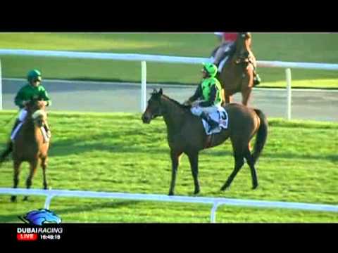 03.02.2012 Meydan (Dubai UAE) 4.Race Classifieds Trophy - Handicap 1.000 m
