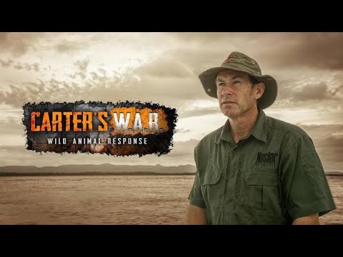 On The Front Lines S2 E6 IVAN CARTER'S W.A.R African animal documentary in Hindi | Africa wildlife