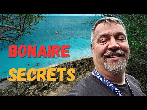 1 Day in Bonaire? Don’t Miss These Cruise Port Secrets