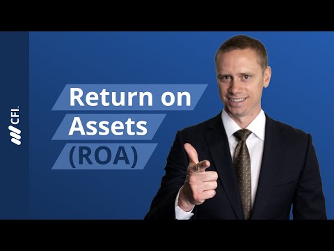 Return on Assets (ROA)