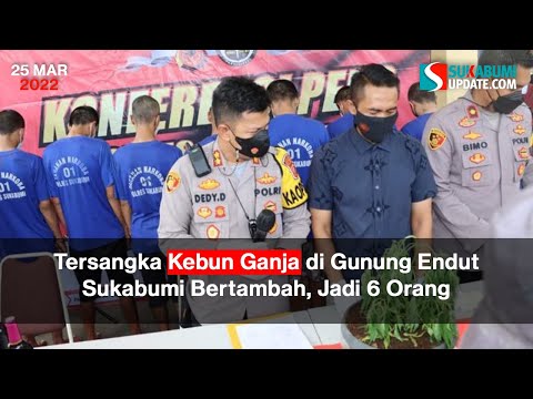 Tersangka Kebun Ganja di Gunung Endut Sukabumi Bertambah, Jadi 6 Orang