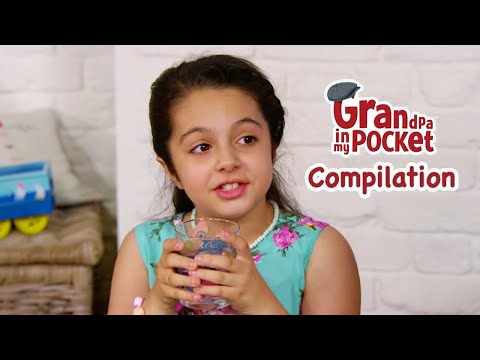 Grandpa in my Pocket Full Episode Compilation! 20 | The Explorer | SpanglyJangly Dangle Dish |