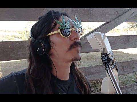 Chelo Lion and his Yellow Fingers  - Saudade da minha Tangie (Kush)