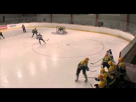 HC Technika - Vsetín 20.1.2016