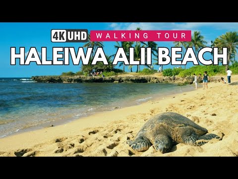 HALEIWA ALII BEACH 🌎 HAWAII WALKING TOUR 🇺🇸 4K 60FPS | BEST BEACH IN THE USA | OAHU TRAVEL GUIDE