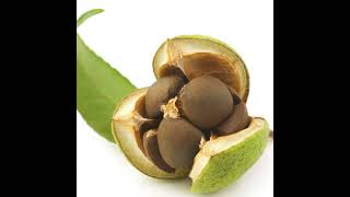 Why is Liver Care So Important?