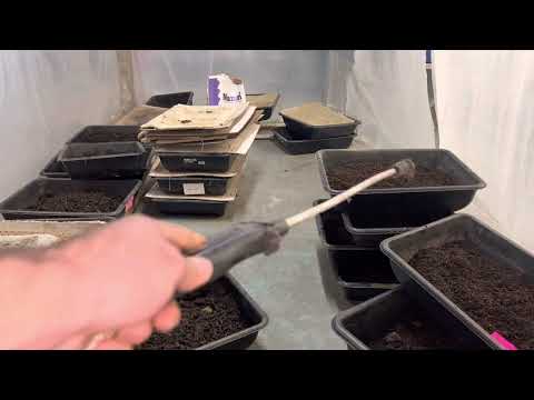 Outdoor compost pile - worm bin update