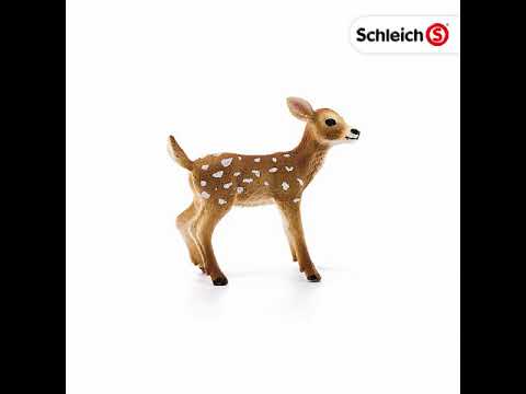 SCHLEICH figūrėlė Baltauodegio elnio mažylis video