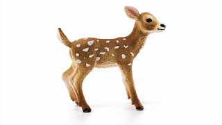 Schleich Jelenček jeleňa bielochvostého