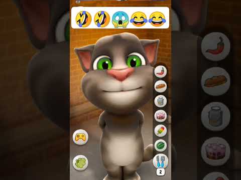 #funny #comedy #cat #video #376 🤣🤣😱😃😃