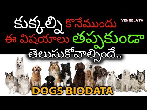 Dogs Biodata - Life Span Names Food Ex.......