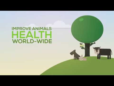 [OIE:CMU-UMN] ​International Trade Framework