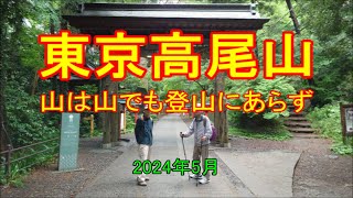 [ ぶらぶら山歩き ] 高尾山（たかおさん：599m）明治の森高尾国定公園及び東京都立高尾陣場自然公園