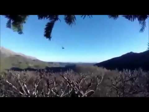 Terremoto centro Italia M 6.5 30 Ottobre 2016 ore 7:40